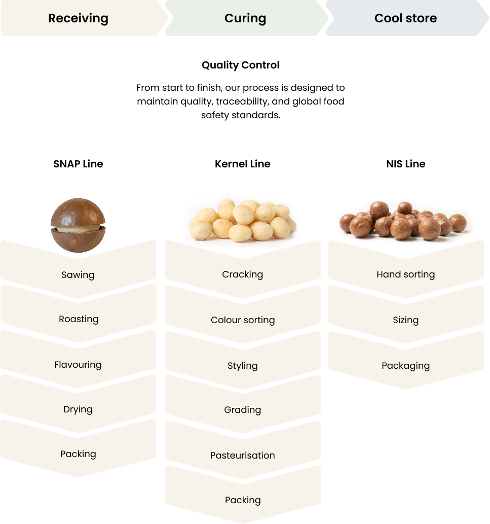 Processing Path