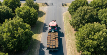 Delivery to Golden Macadamias factory