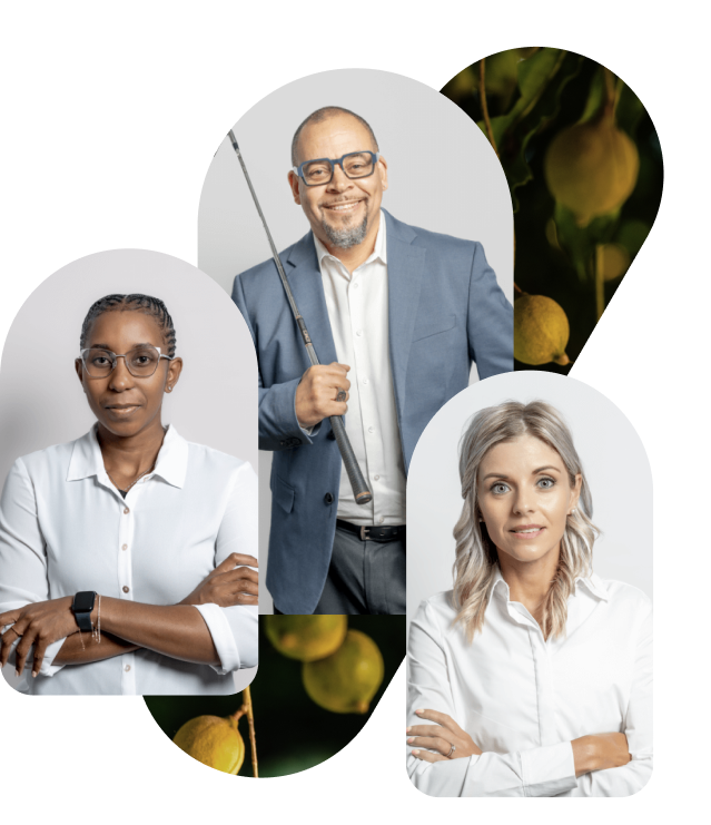 Meet our team