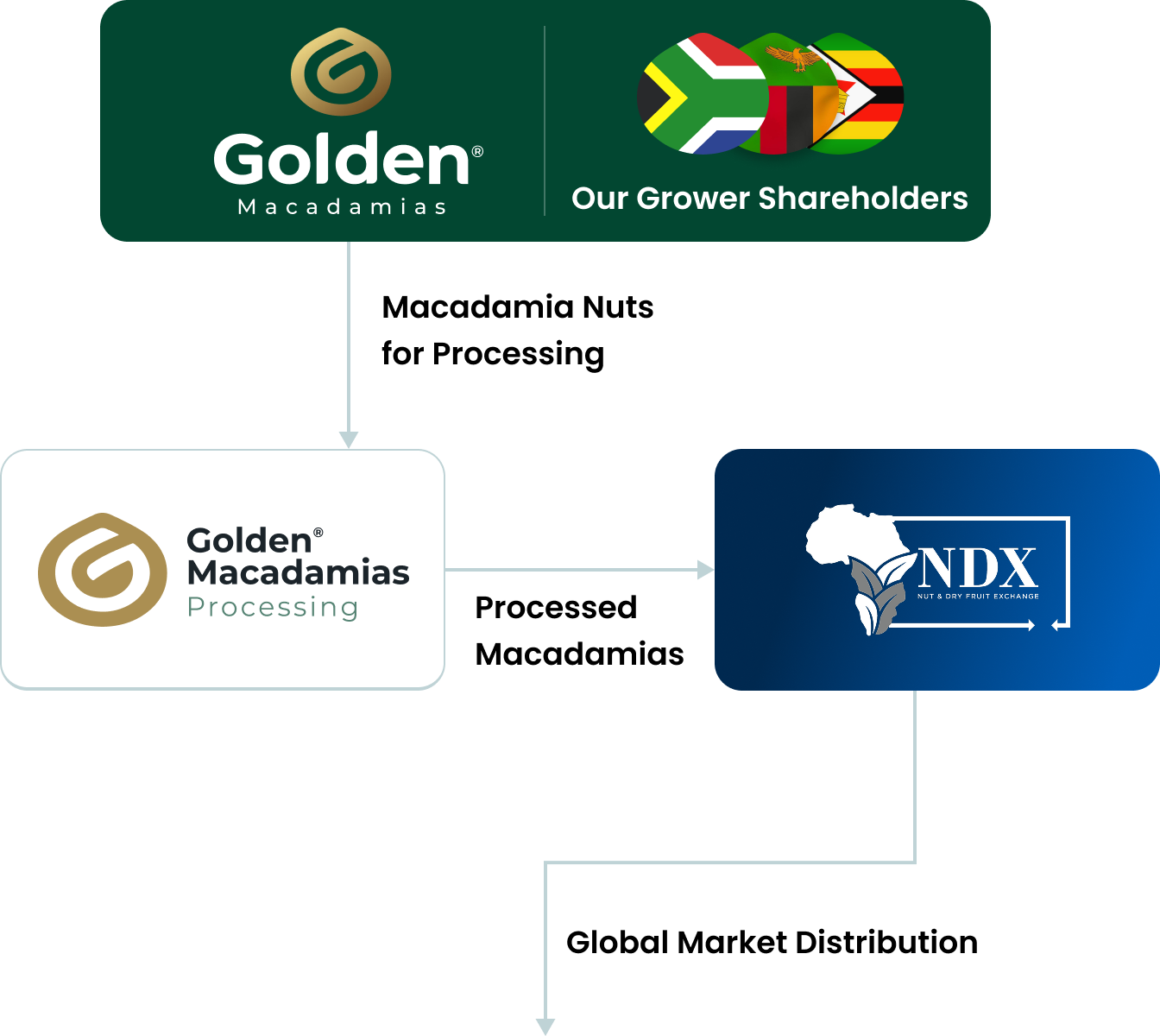 Group Structure