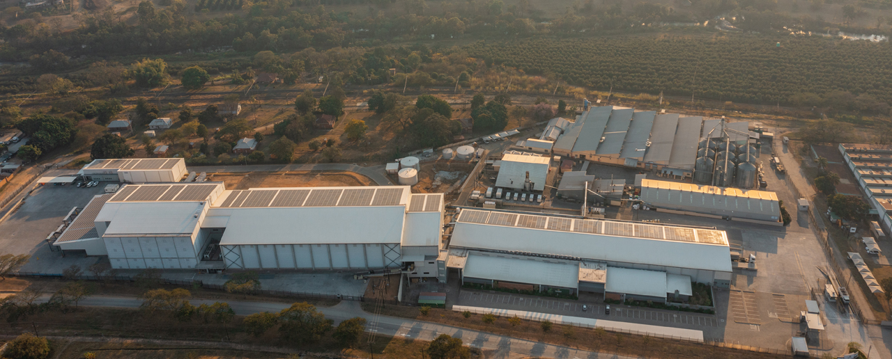 Golden Macadamias Farms