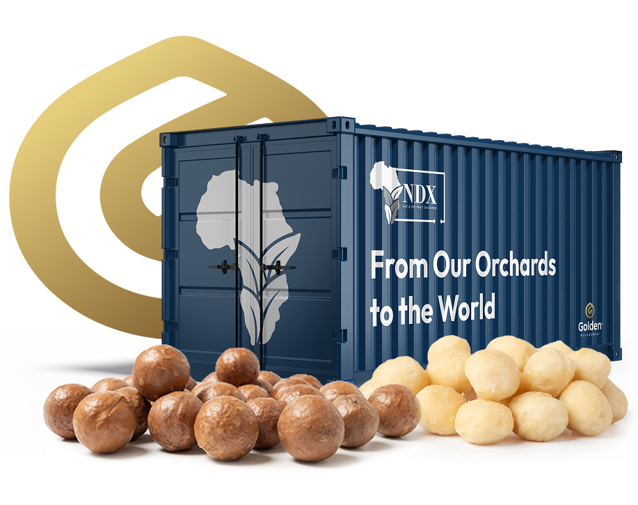 Golden macadamias branding