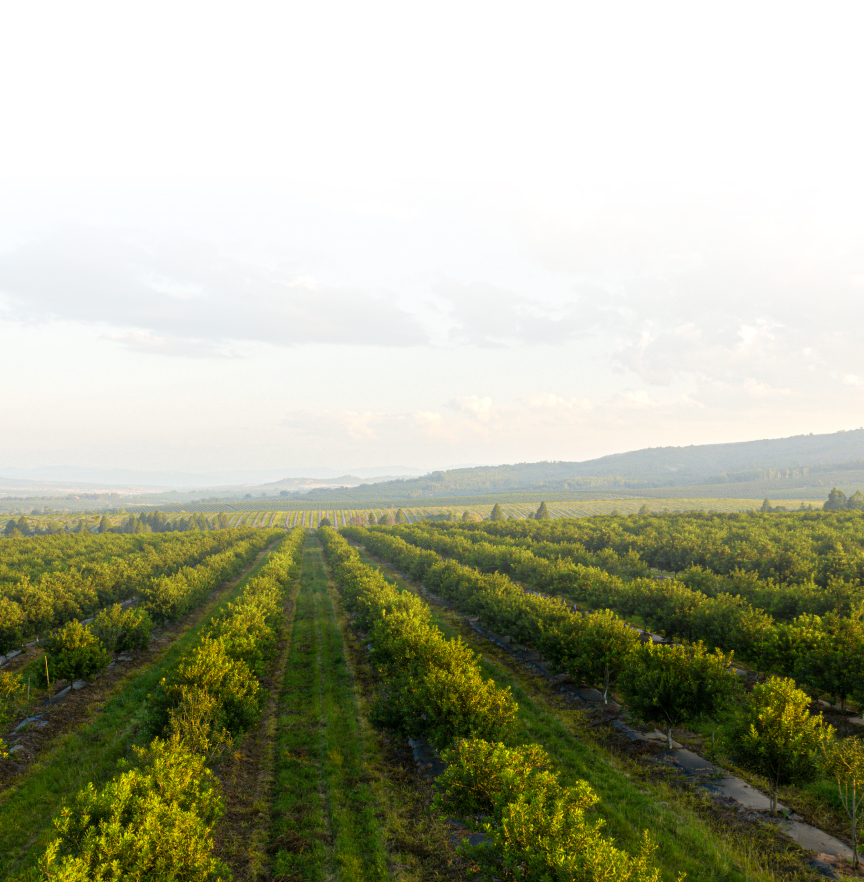 Our Trusted Network of Farms
